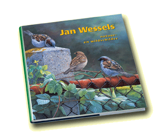 Boek Kunstschilder Jan Wessels